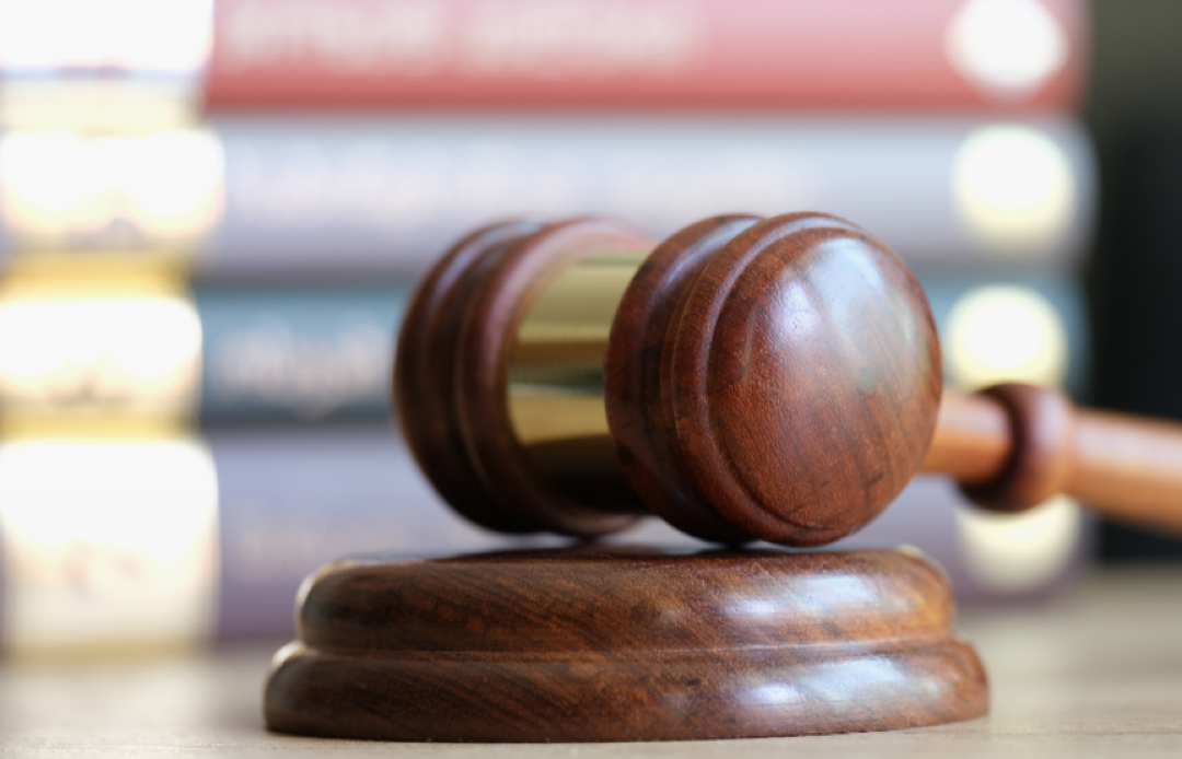 Latest legislative developments Home Conseil Immigration September 2025