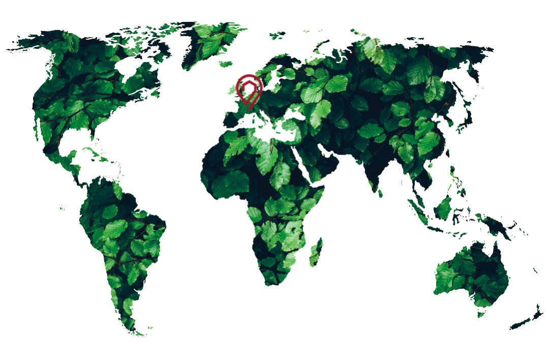 Home Conseil Relocation reduces its Carbon footprint by 12% in 2024 confirming its renewed ambitions