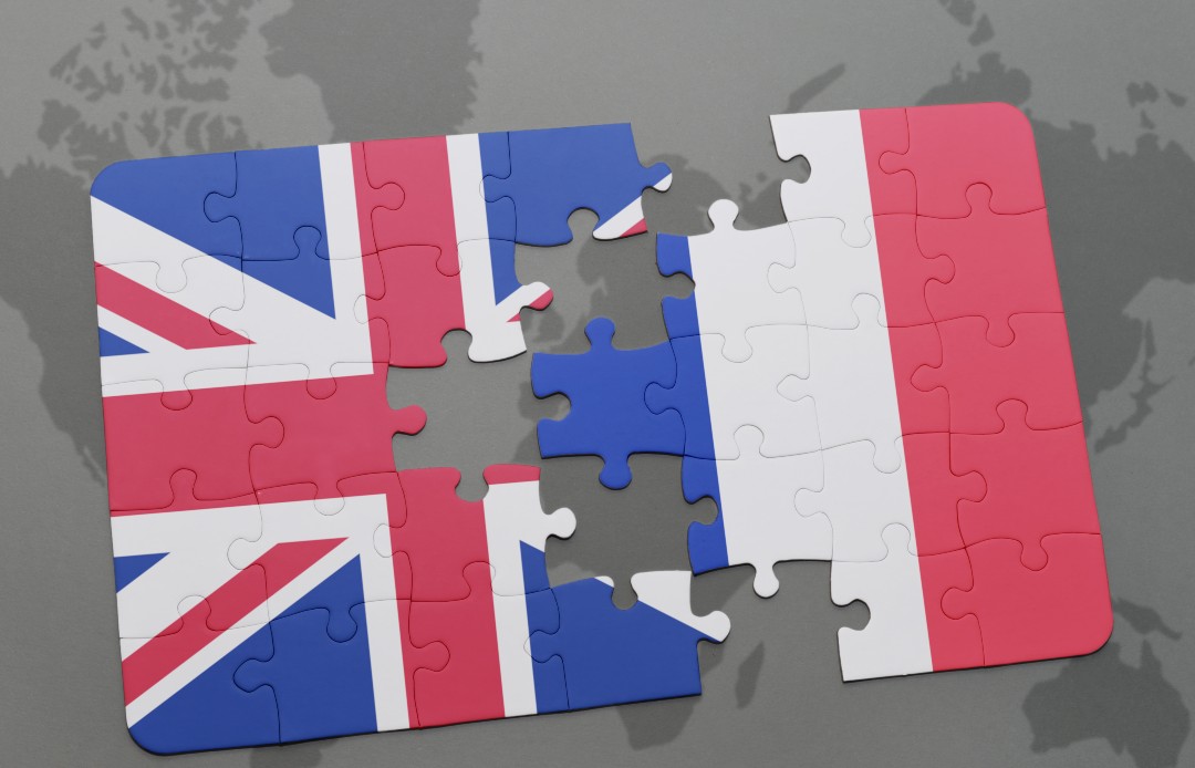 BREXIT: Options after the end of the transition period